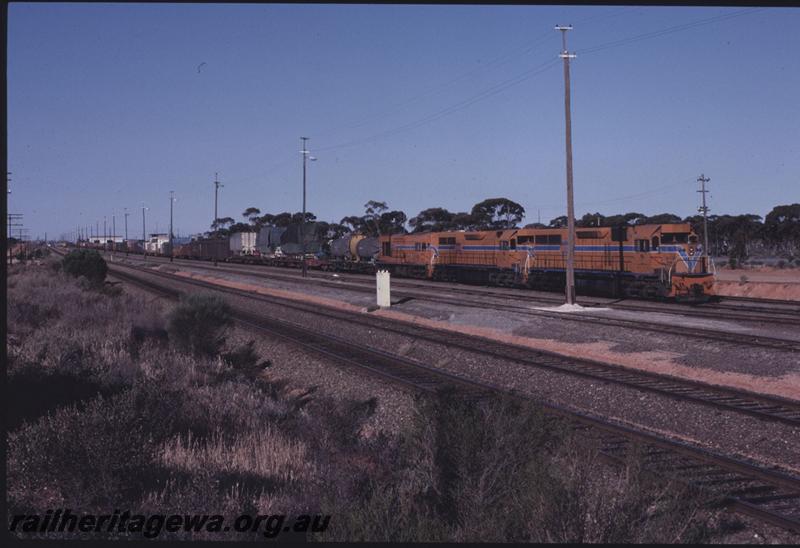 T01295
L classes, Kalgoorlie, on freight train 
