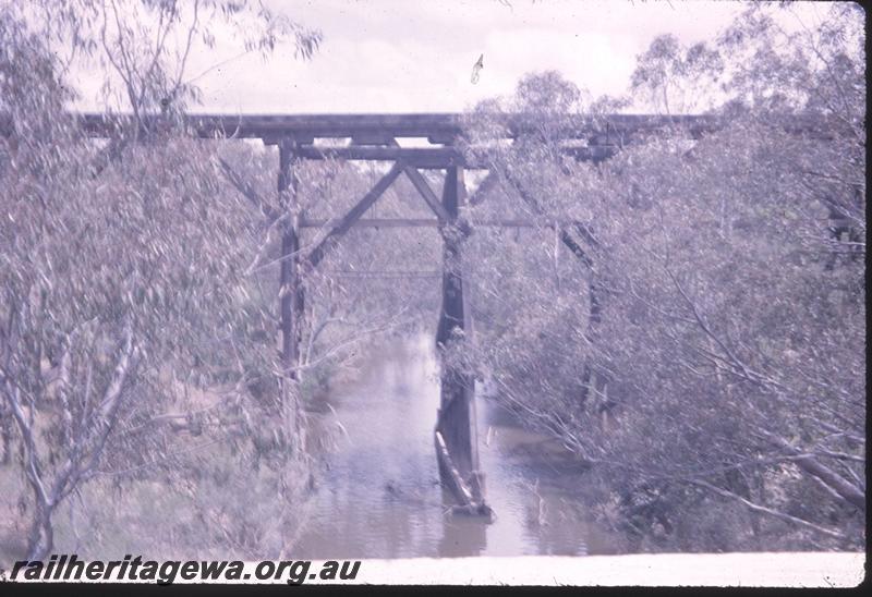 T01302
MRWA trestle bridge, Mogumber, MR line
