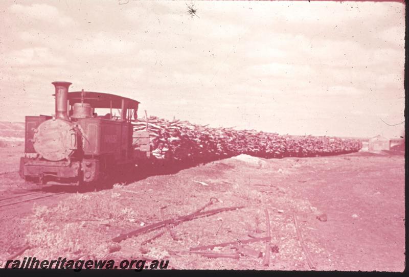 T01326
ARHS Vic Div. visit, Sons of Gwalia loco 