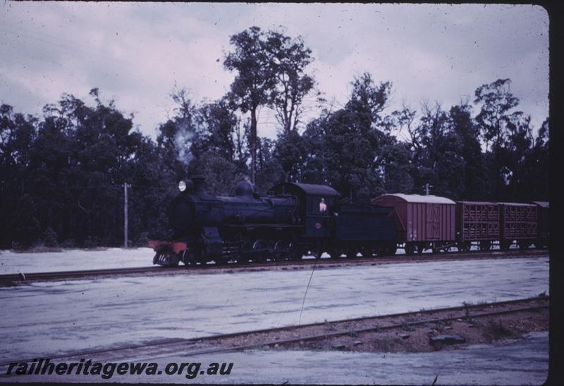 T01351
FS class, entering Manjimup, PP line, goods train
