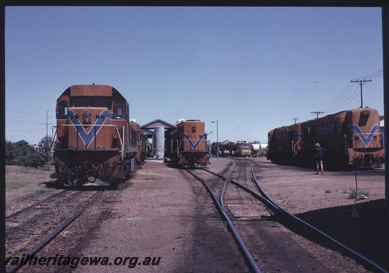 T01378
L Class 273, L Cass 264, K Class 206, front view, Kalgoorlie Loco Depot
