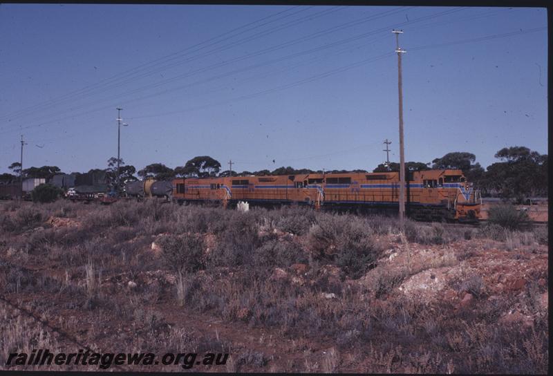 T01379
L Class 274, L Class 266 with dead attached K Class 206, goods train, West Kalgoorlie, EGR line
