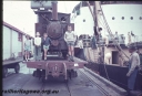 Filename=T01203.jpg
Filesize=110KiB
Dimensions=800x544
Date added=Sep 03, 2014 T01203.jpg