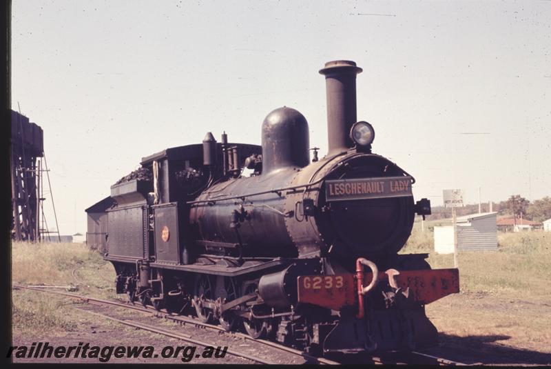 T01541
G class 233, Brunswick Junction loco depot, SWR line, 