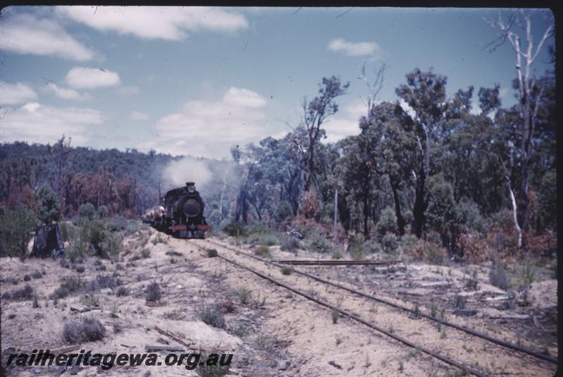 T01546
Log train approaching, Banksiadale
