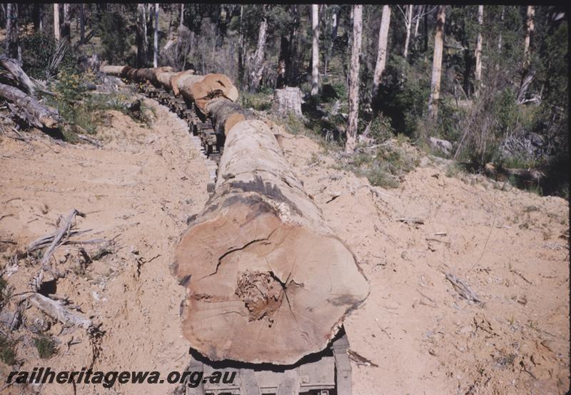 T01549
Log rake, Pemberton, loaded
