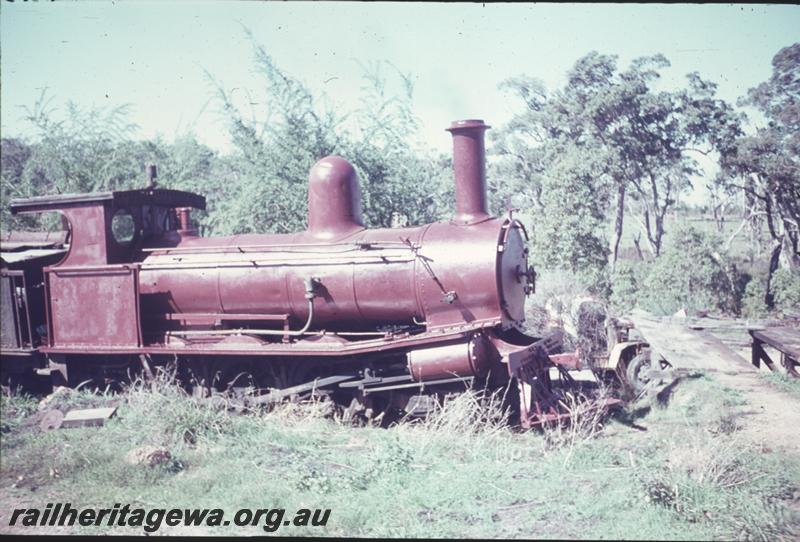 T01556
Adelaide Timber Company loco, Y class 71 steam loco, engine only, brown livery, side view
