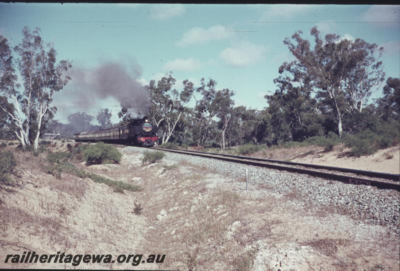 T01560
DD class 592, ARHS tour to Wellard
