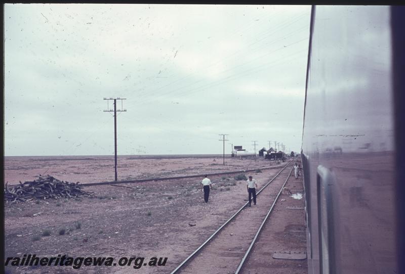 T01561
Cook, TAR line, looking east
