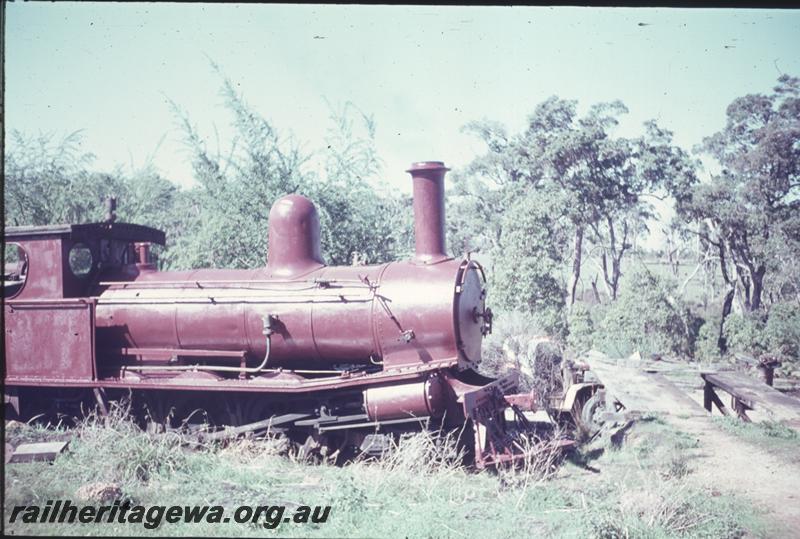 T01592
Adelaide Timber Company loco, Y class 71 steam loco, Witchcliffe, engine only, side view
