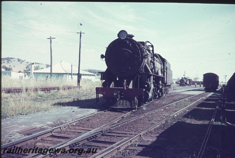 T01595
V class 1214, Brunswick Junction, SWR line
