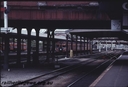 Filename=T01441.jpg
Filesize=88KiB
Dimensions=800x545
Date added=Sep 03, 2014 T01441.jpg
