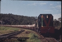 Filename=T01459.jpg
Filesize=99KiB
Dimensions=800x543
Date added=Sep 03, 2014 T01459.jpg