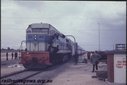 Filename=T01495.jpg
Filesize=75KiB
Dimensions=800x536
Date added=Sep 03, 2014 T01495.jpg