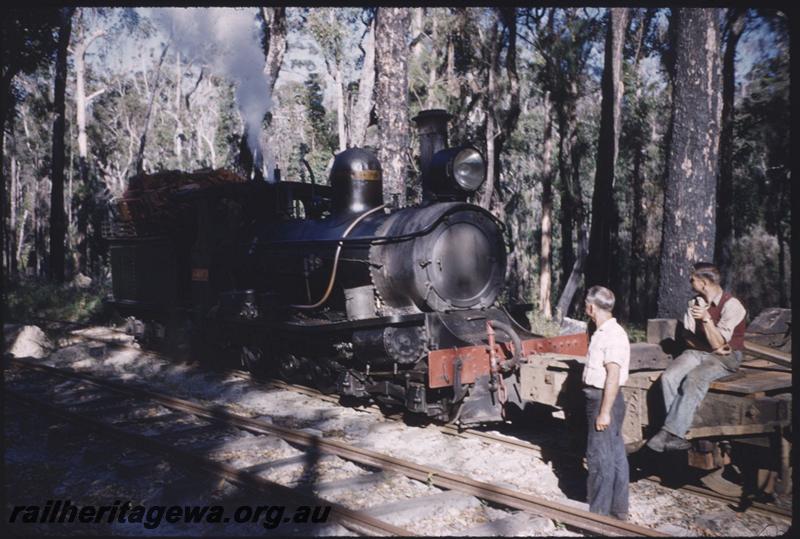 T01726
SSM loco No.1, bush setting, Pemberton
