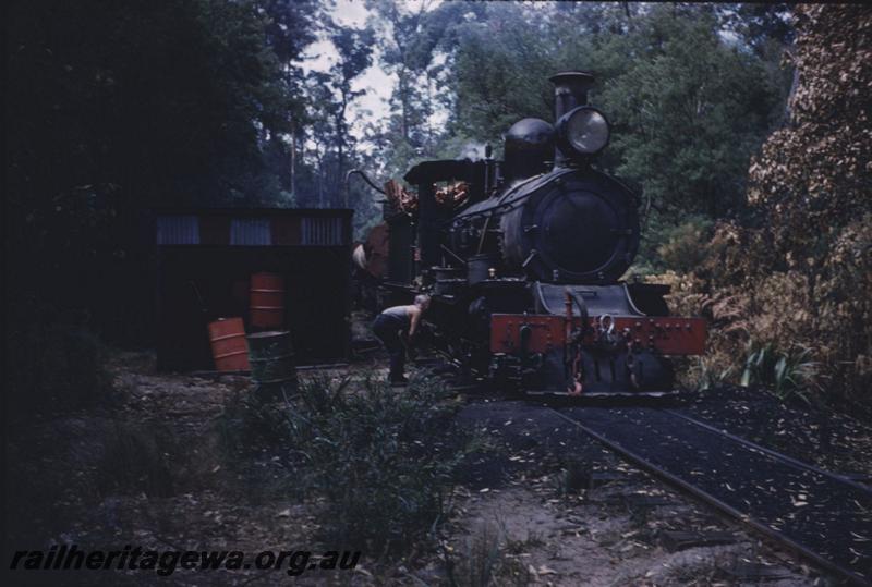 T01736
SSM loco No.1, Pemberton, taking water
