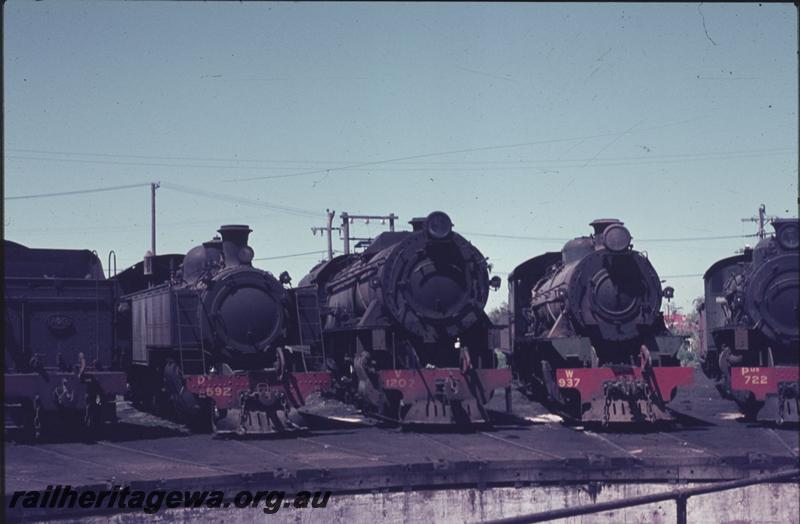 T01857
DD class 592, V class 1207, W class 937, PMR class 722, Bunbury loco depot. Locos around turntable
