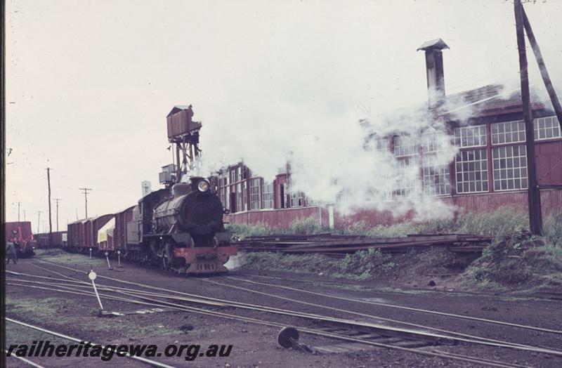 T01891
W class 908, roundhouse, Bunbury yard, on goods train
