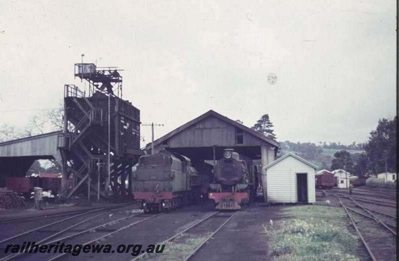 T01896
W class 945, rear view and W class 941, front view,  loco shed, coaling tower, Bridgetown loco depot, PP line, front on view down the tracks
