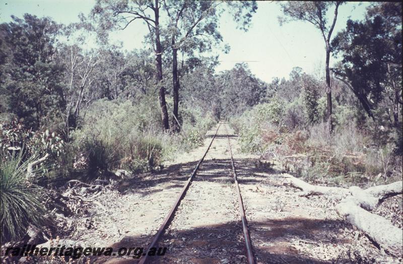 T01901
Railway line, Donnelly River - Yornup 
