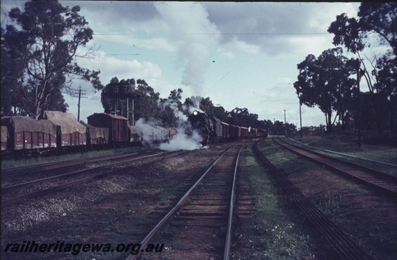 T01915
V class 1207, Koojedda, ER line, Goods train
