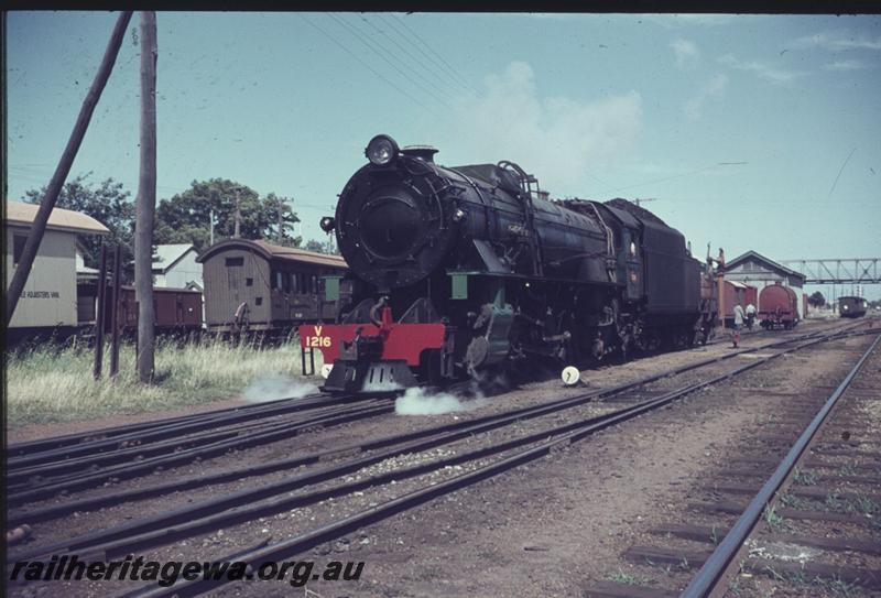 T01917
V class 1216, Midland Yard, test train to Northam, first steam train on the new dual gauge, goods shed in the background.
