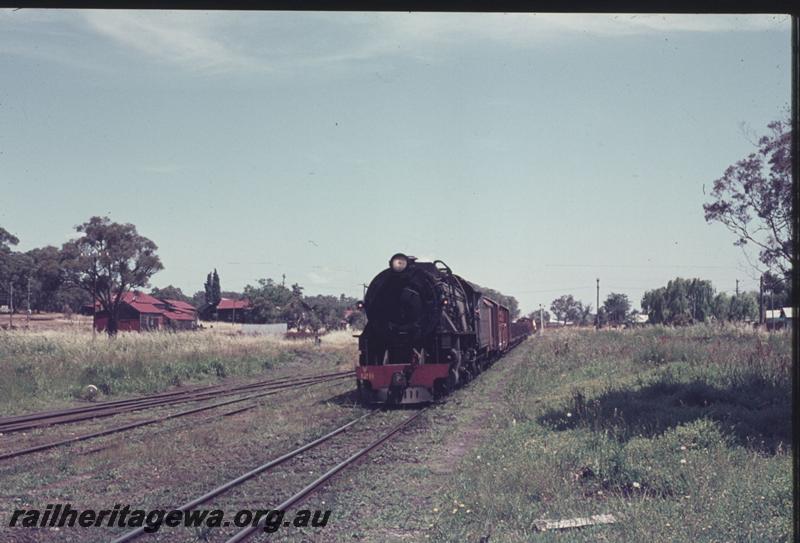 T01919
V class 1211, Yarloop, SWR line, goods train, head on view
