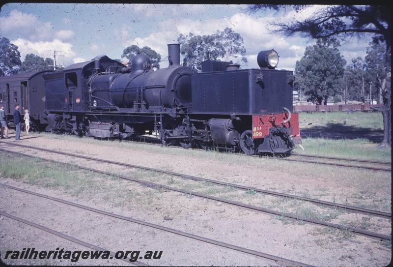 T01921
MSA class 499 Garratt loco, Dwellingup, tour train
