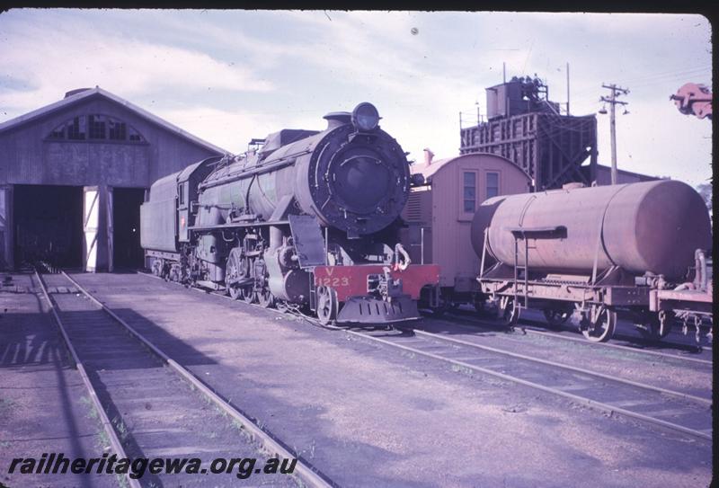 T01931
V class 1223, loco shed, coaling tower, Northam loco depot
