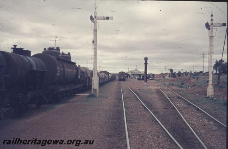 T01956
Yard, signal, Mullewa, NR line
