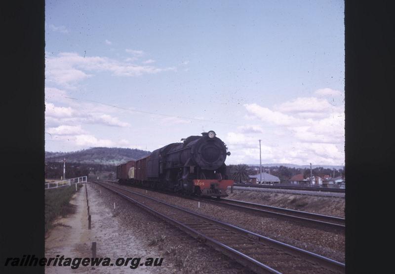 T01993
V class 1205, Bellevue, on a short No.24 goods train 
