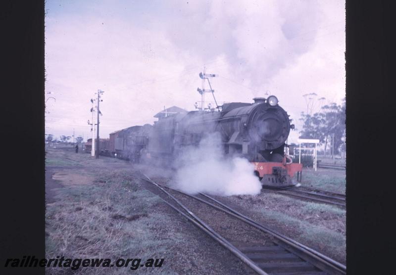 T02057
V class 1214, with dead PMR class 731, Brunswick Junction, on special goods for Collie.
