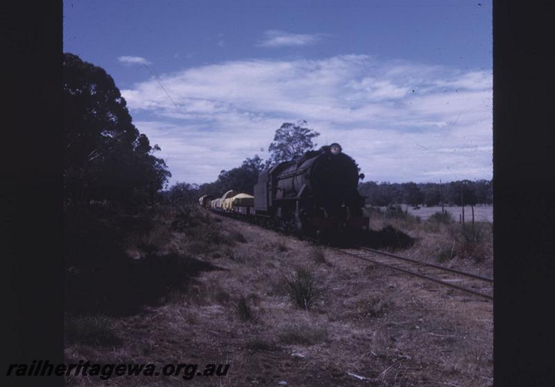 T02125
V class 1217, between Darkan and Bowelling, BN line, on No.104 Goods train
