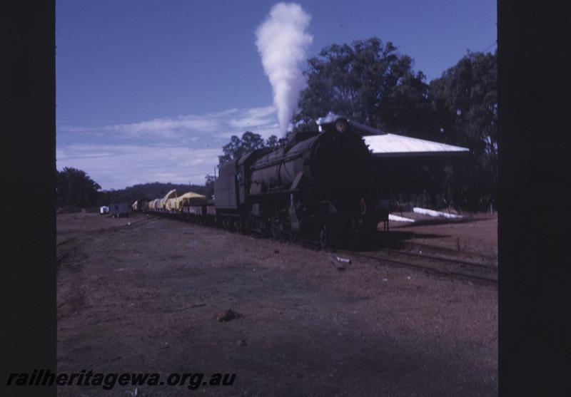 T02126
V class 1217, Bowelling, BN line, on No.104 Goods train
