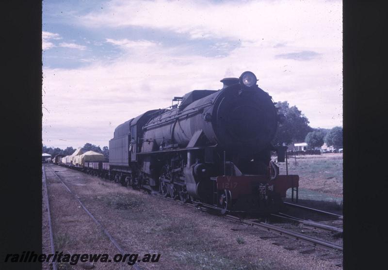 T02149
V class 1217, Darkan, BN line, on No.104 Goods train 
