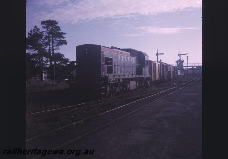 T02175
AA class 1517, Subiaco, goods train
