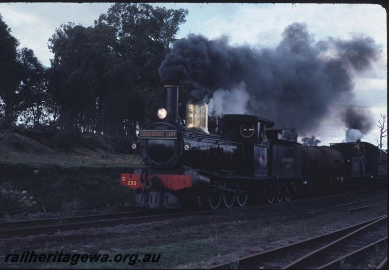 T02225
G class 233 Leschenault Lady, with G class 123, near Collie, BN line.
