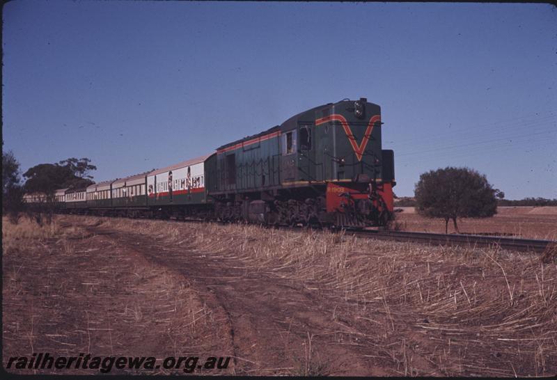 T02233
R class 1903, ARHS tour train to Meckering
