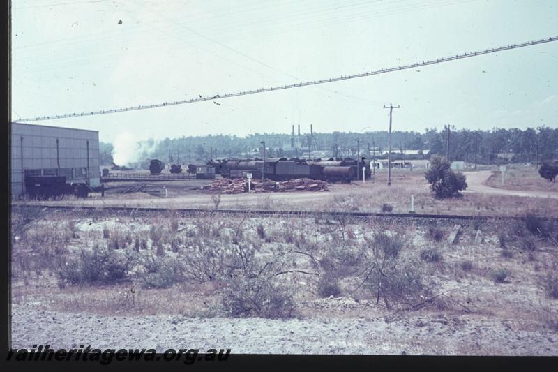 T02444
Roundhouse, loco depot, Collie
