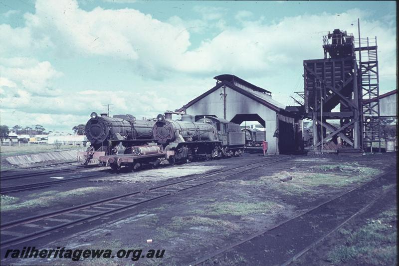 T02449
V class and W class locos, loco shed, coaling tower, loco depot, York
