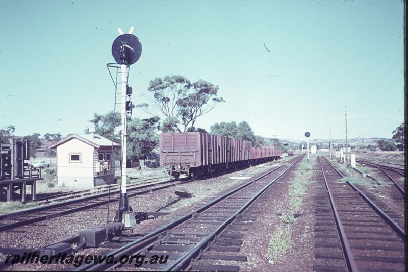 T02453
Searchlight signal, yard, Spencers Brook, ER line, looking east
