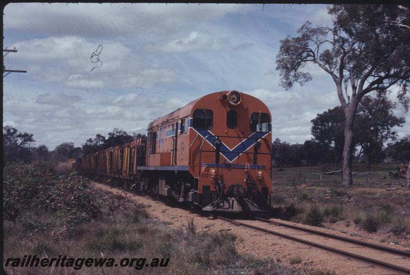 T02528
G class 50, BN line, timber train
