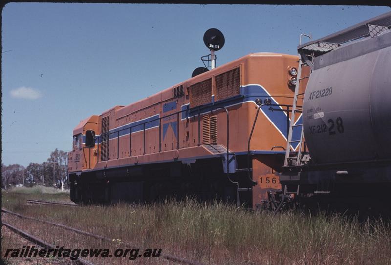 T02548
D class 1562, Pinjarra, SWR line.
