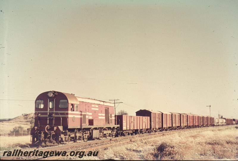 T02554
F class 43 in MRWA red livery, goods train
