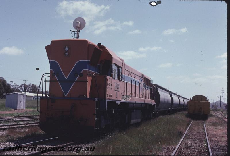 T02559
D class 1562, Pinjarra, SWR line.
