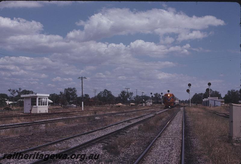 T02571
D class 1563, wagon weighbridge, Pinjarra, SWR line, caustic train
