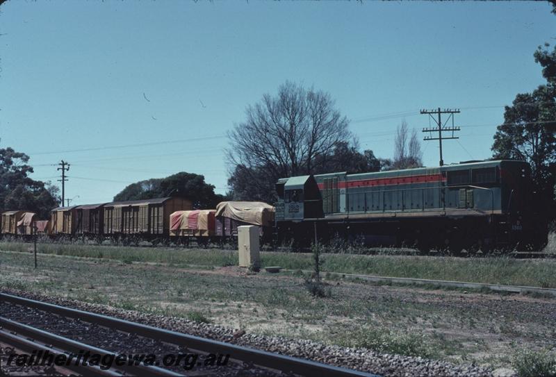 T02594
D class 1562, Guildford, goods train
