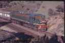 Filename=T02529.jpg
Filesize=110KiB
Dimensions=800x537
Date added=Sep 03, 2014 T02529.jpg