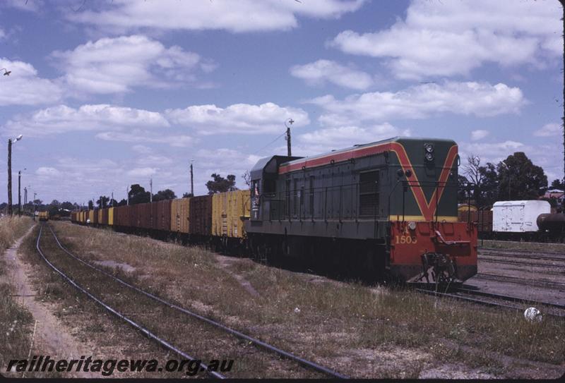 T02615
A class 1503, line of GH wagons, Collie, BN line
