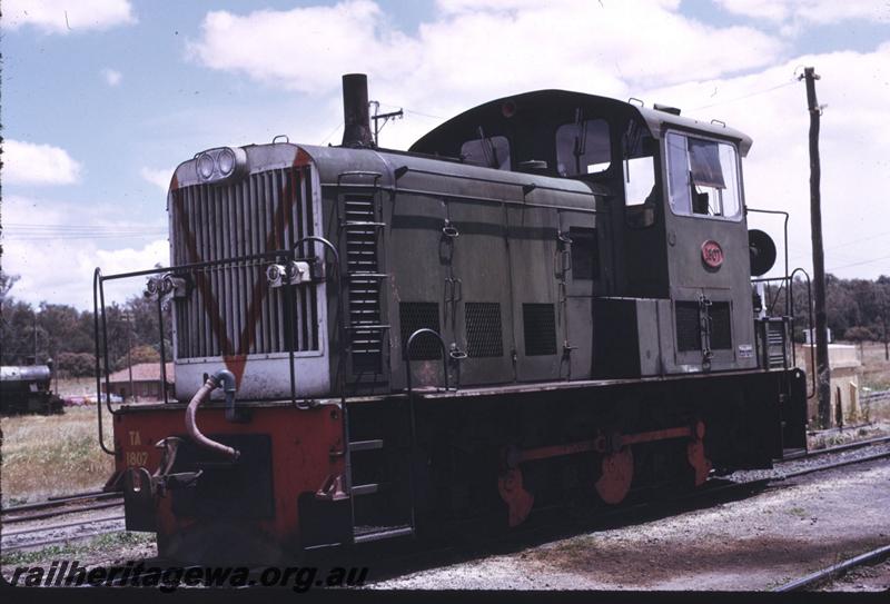 T02628
TA class 1807, Collie
